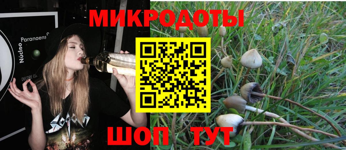 Медногорск  Галлюциногенные грибы Magic Shrooms  Вход с VPN 